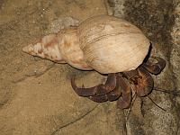 Kenya 138